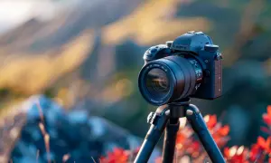 Test aparatu Lumix DMC-FZ50: Funkcje, opinie i recenzje użytkowników