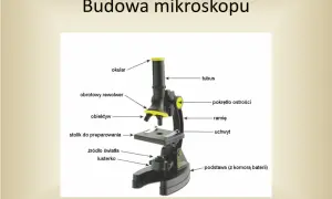 Obiektyw mikroskopu: tajemnice precyzyjnego powiększania świata mikroskali