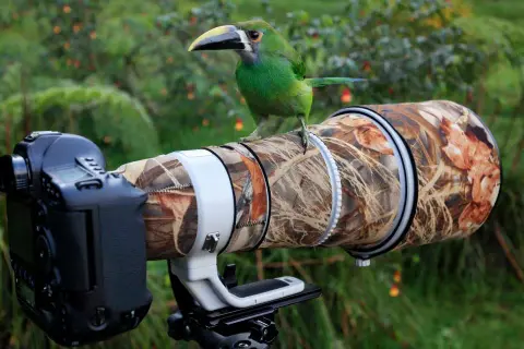 Jaki obiektyw do fotografii ptaków? Kluczowe cechy i porady wyboru
