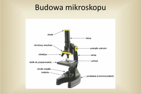 Obiektyw mikroskopu: tajemnice precyzyjnego powiększania świata mikroskali
