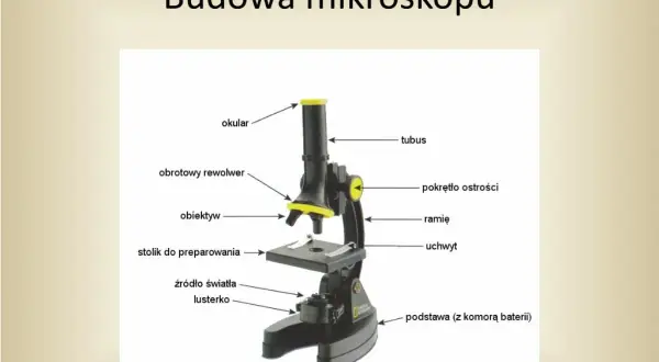 Obiektyw mikroskopu: tajemnice precyzyjnego powiększania świata mikroskali