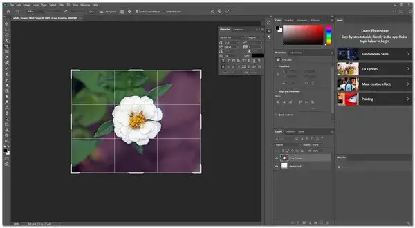 Zdjęcie Jak skutecznie rozciągnąć obraz w Photoshopie i poprawić jego jakość