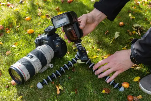 Jak zrobić obiektyw makro: proste techniki i najlepsze rozwiązania fotografii