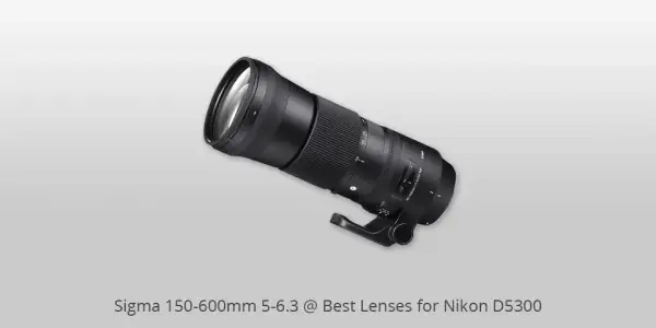 Najlepszy obiektyw do Nikon D5300: Jak wybrać idealny do Twoich potrzeb fotograficznych
