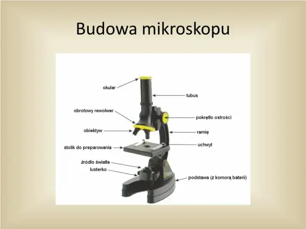 Obiektyw mikroskopu: tajemnice precyzyjnego powiększania świata mikroskali